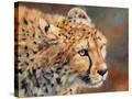Stretched Canvas