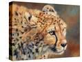 Stretched Canvas