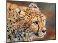 Wood Mount