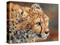 Stretched Canvas