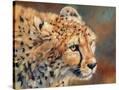 Stretched Canvas