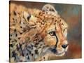 Stretched Canvas
