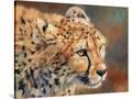 Stretched Canvas