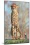 Wood Mount