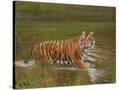 Stretched Canvas