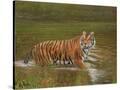 Stretched Canvas