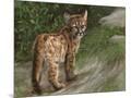 Wood Mount