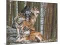 Wood Mount