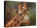 Stretched Canvas