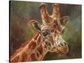 Stretched Canvas
