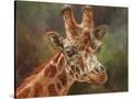 Stretched Canvas