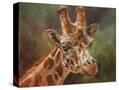 Stretched Canvas