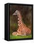 Canvas Black