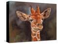 Stretched Canvas