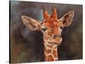 Stretched Canvas