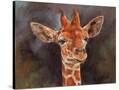 Stretched Canvas