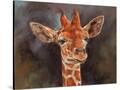 Stretched Canvas