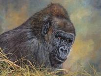 Chimp-David Stribbling-Art Print