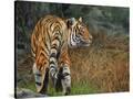 Stretched Canvas