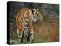 Stretched Canvas