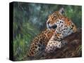 Stretched Canvas