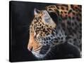 Stretched Canvas