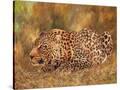 Stretched Canvas