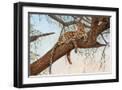 Black Frame