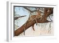 White Frame