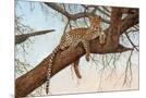 Wood Mount
