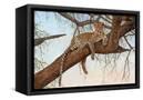 Canvas Black