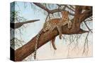 Stretched Canvas