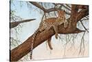 Stretched Canvas