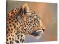 Stretched Canvas