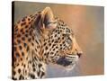 Stretched Canvas