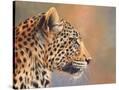 Stretched Canvas