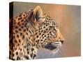 Stretched Canvas