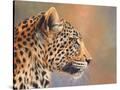 Stretched Canvas