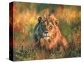 Stretched Canvas