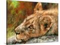 Stretched Canvas