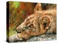 Stretched Canvas
