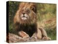 Stretched Canvas
