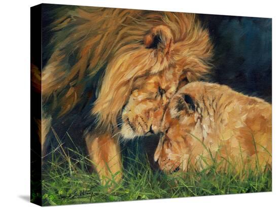 Stretched Canvas Print, , large