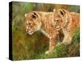 Stretched Canvas