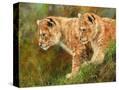 Stretched Canvas