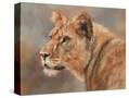 Stretched Canvas