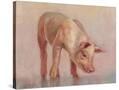 Stretched Canvas