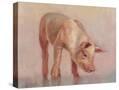 Stretched Canvas