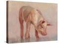Stretched Canvas