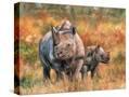 Stretched Canvas